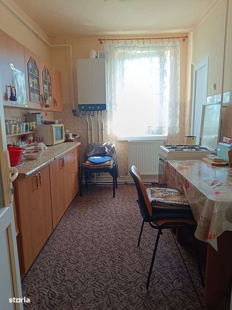Apartament central Vulcan-1