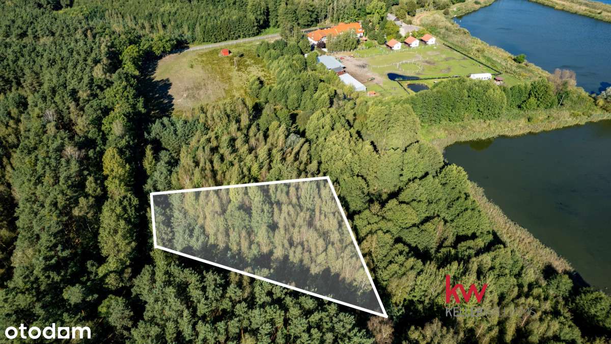 Działka rolna w enklawie leśnej Trzciel-Odbudowa. - Više