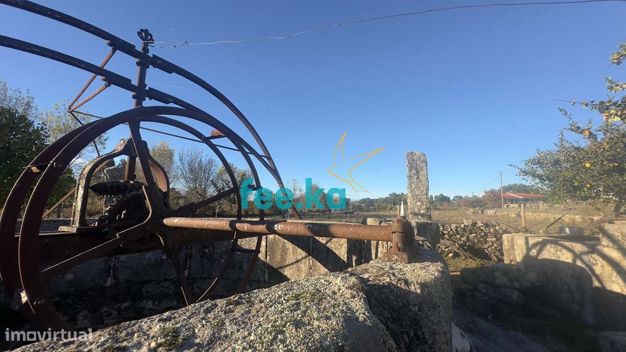 Quinta em Escalos de Baixo-17