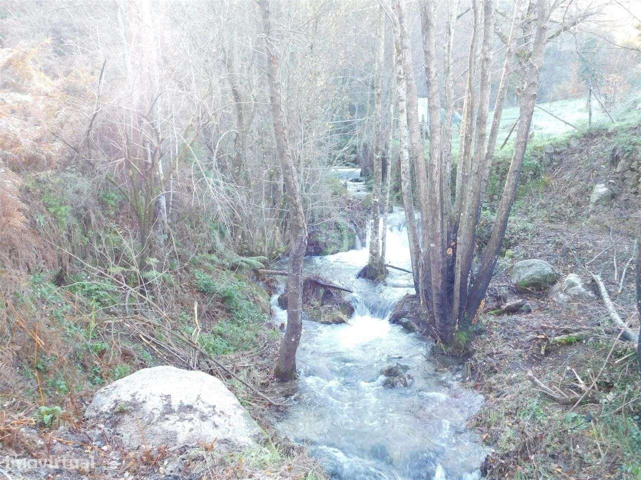 Quinta / Seia, Seia - Grande imagem: 2/8