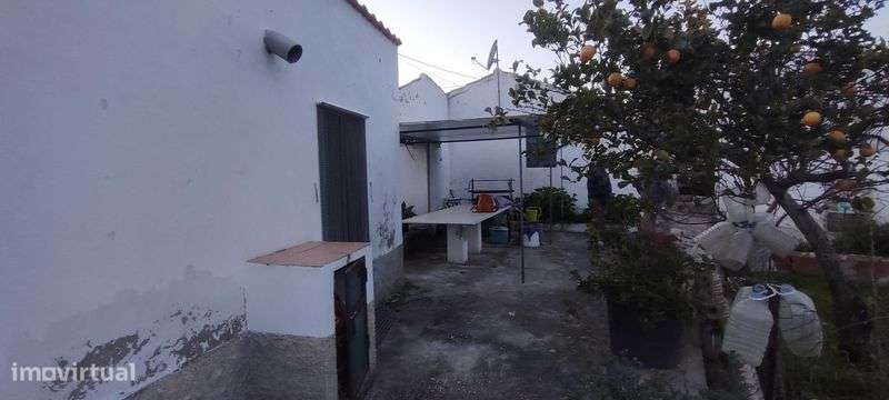 Casa com quintal - Grande imagem: 4/11