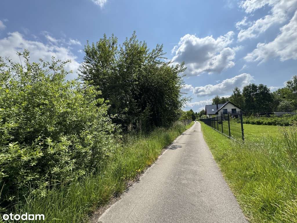 Działka z prywatnym laskiem-6