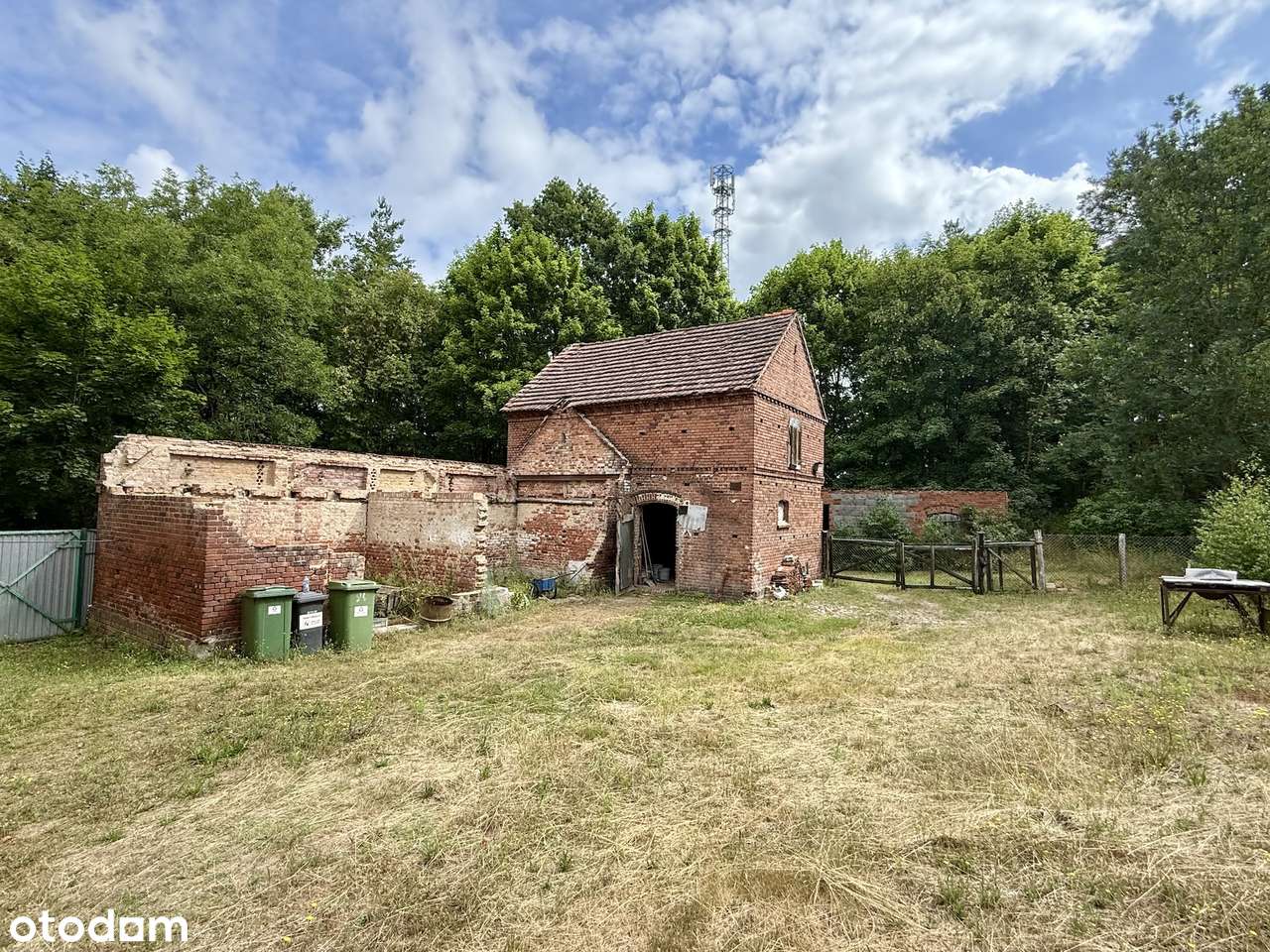 Dom Świebodzin – Wilenko,  nieruchomość w sercu lasu.-13
