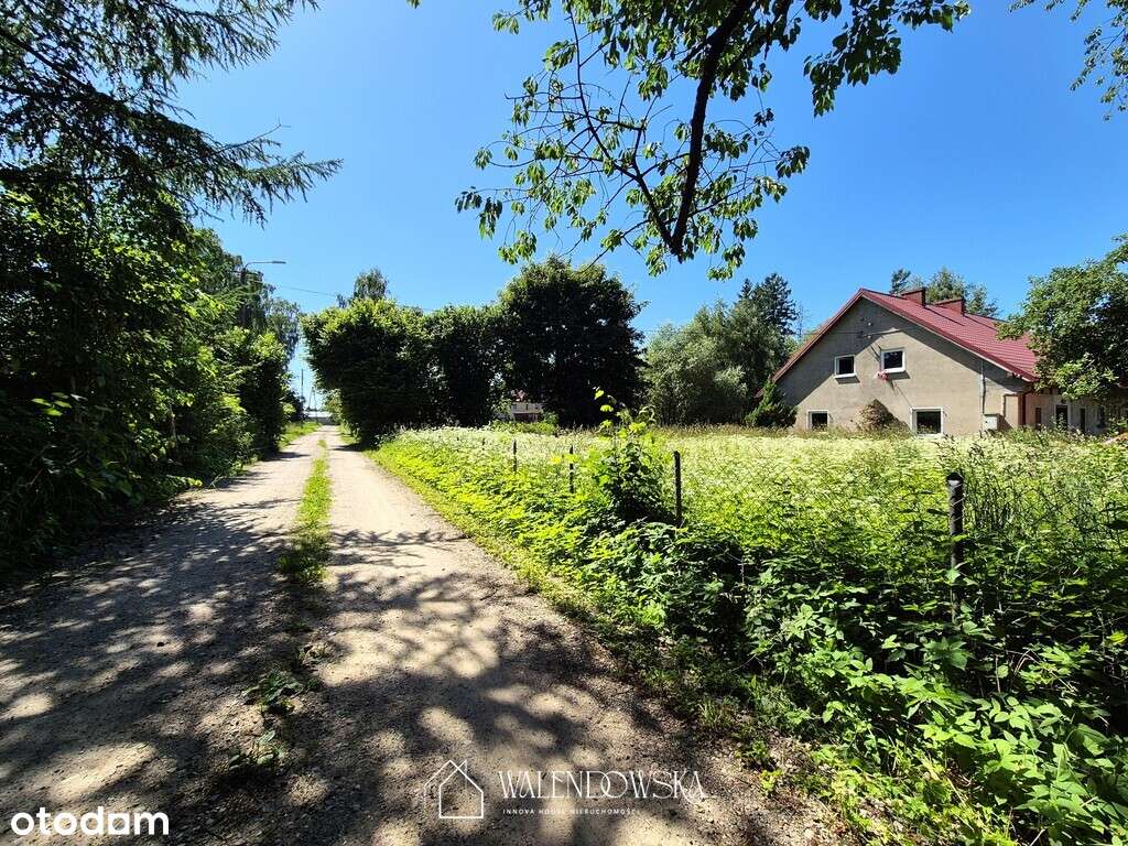 Dom z dużą działką 3254 m² na sprzedaż | Grąbkowo