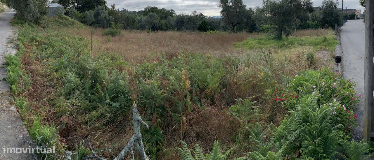Terreno Para Construção - Viseu - Grande imagem: 5/5