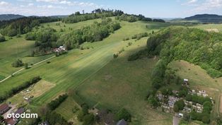 Duże działki rolne ( 3.19ha i 3.75ha ) 39tyś/ha!!!