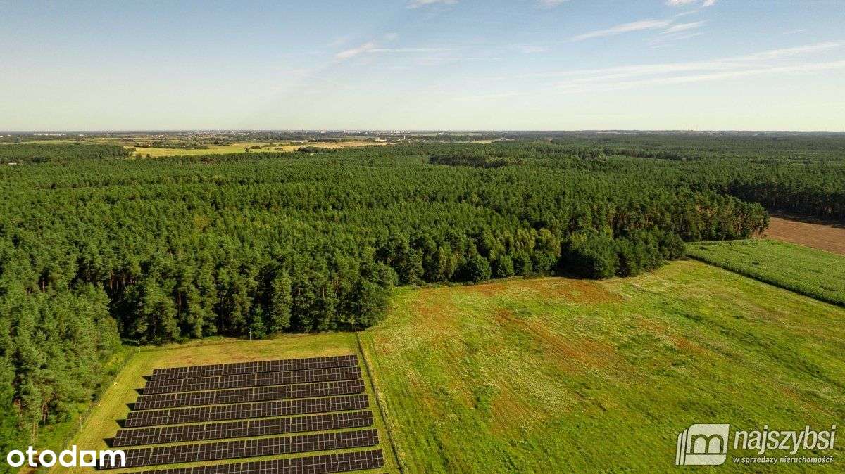Charzyno- Działka Na Sprzedaż - Pełny obrazek: 5/10