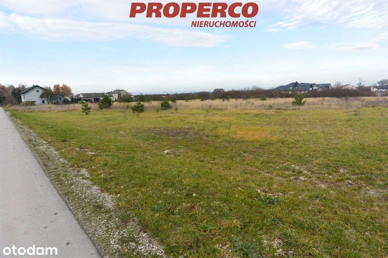 Działka pow 9983, Miąsowa, gm. Sobków - Pełny obrazek: 5/5