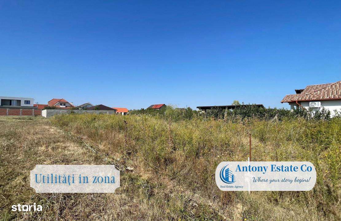 Teren intravilan, de vanzare - Cihei, BH - Imagine principală: 4/8