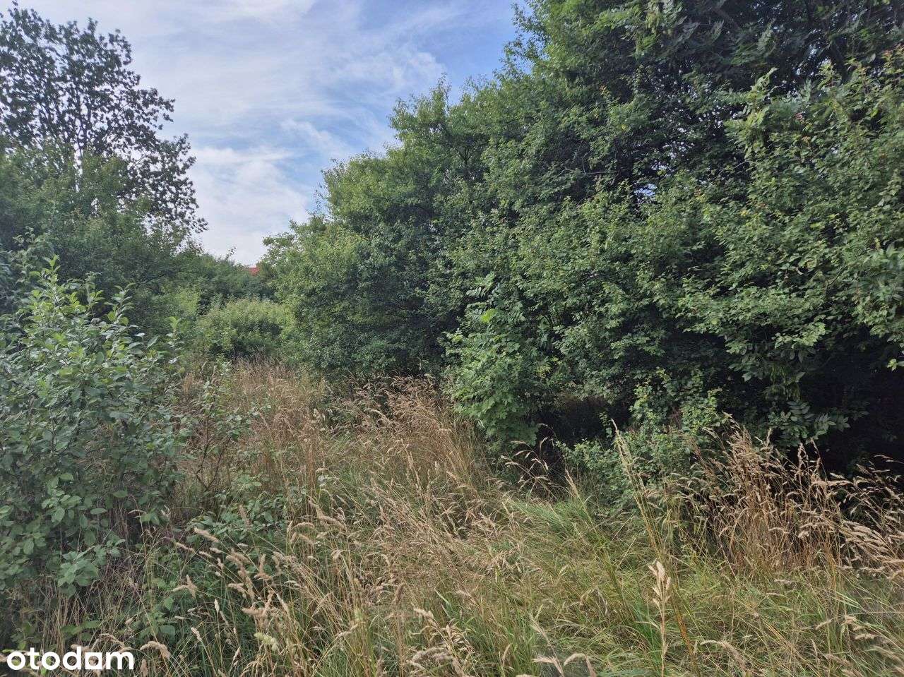 Działka, 719 m², Wejherowo-9