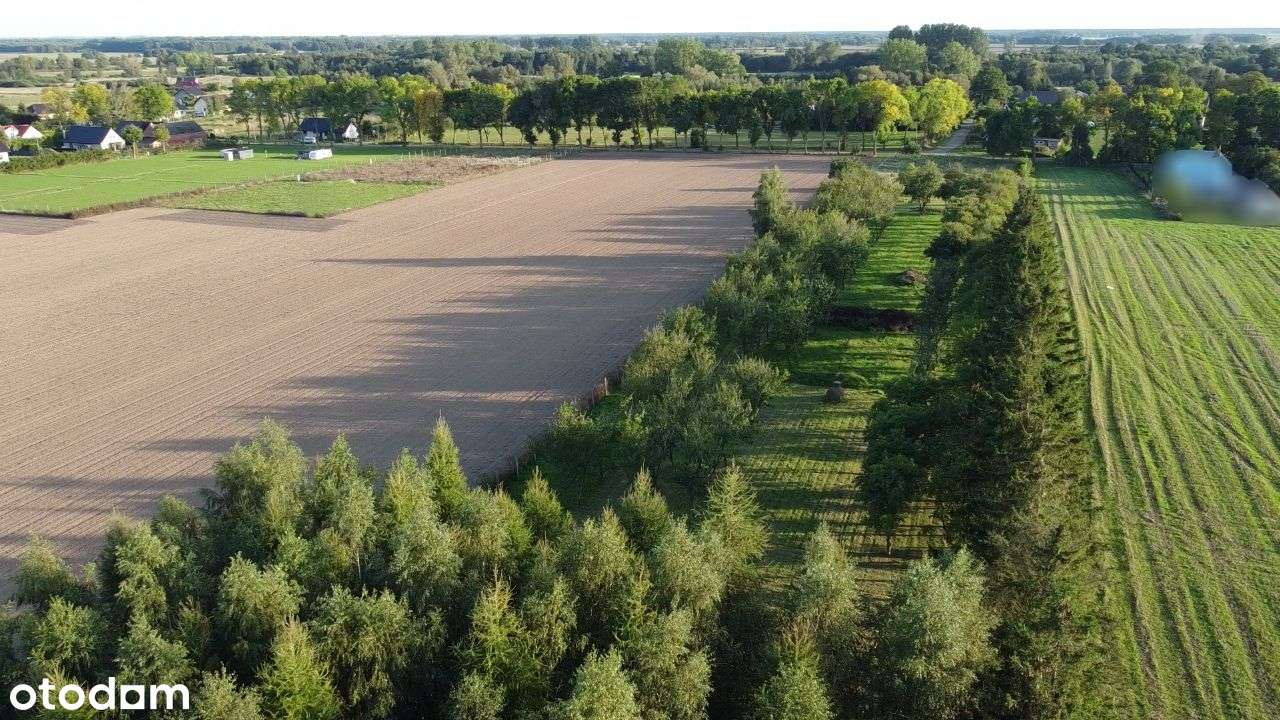 Działka budowlano-rekreacyjna Jarszewo - Pełny obrazek: 5/20