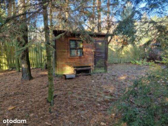 Dom letniskowy na sprzedaż w Siedlątkowie - Pełny obrazek: 4/15