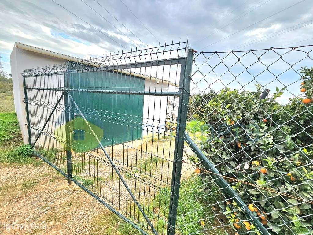 Terreno com pomar e alfaias!
Grande oportunidade de adquirir esta ... - Grande imagem: 1/17