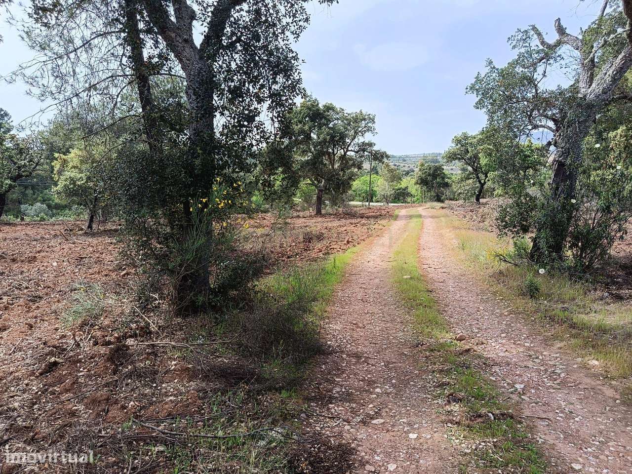 Terreno Rústico com 1.6ha Monfortinho-7