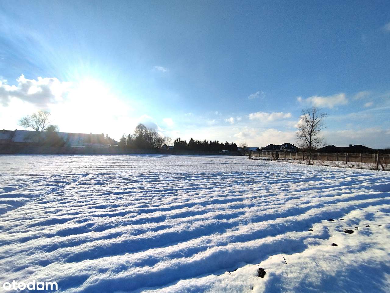 Kameralna, świetna DZIAŁKA W GOŁACZOWIE k. Chojnowa (mpzp-MU/RM)-5