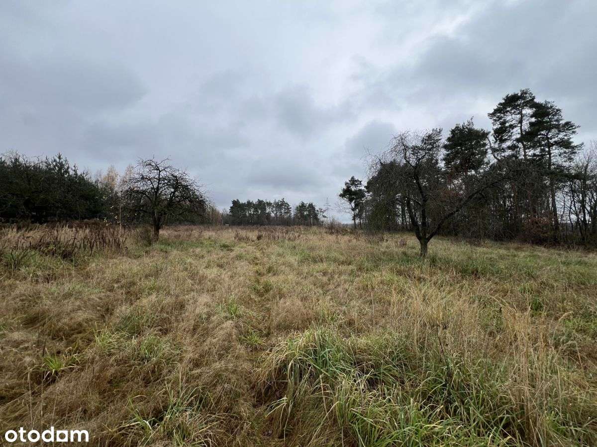 448292 - Pełny obrazek: 5/12