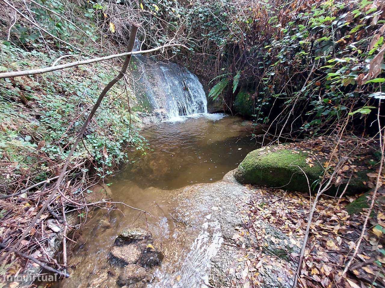 Quintinha com casa habitação - Grande imagem: 5/19