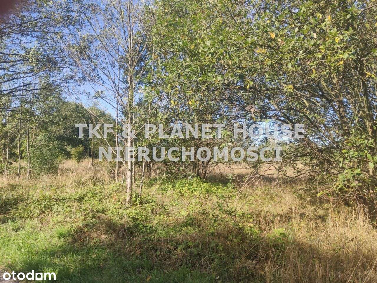 Działki na sprzedaż Giełzów gm. Drzewica - Pełny obrazek: 2/5