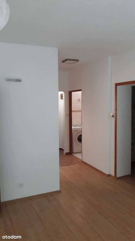 Super lokalizacja 2 pokoje taras/ogródek ciche blisko park komunikacja - Pełny obrazek: 5/9