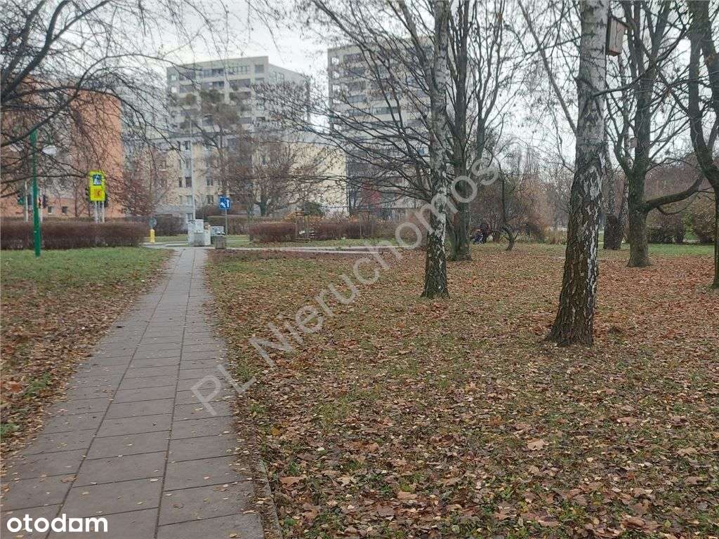 Chwyć za pędzel i stwórz mieszkanie swoich marzeń!-1