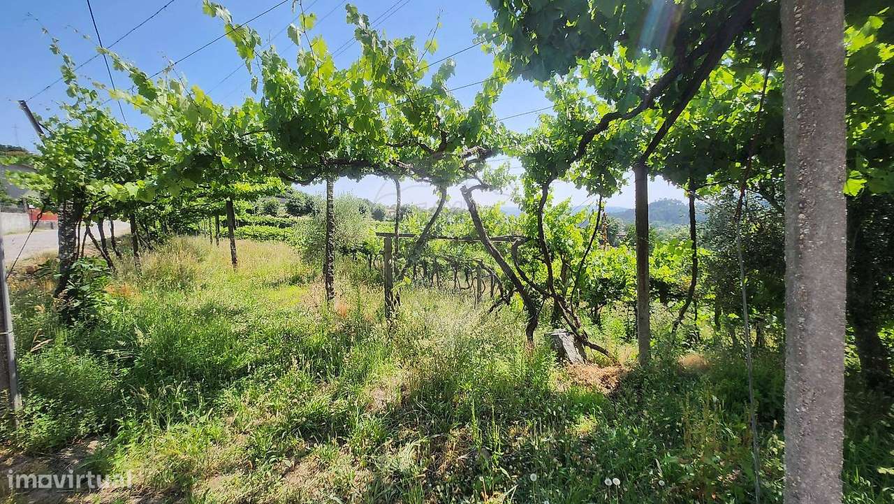 Terreno  para venda - Grande imagem: 3/6