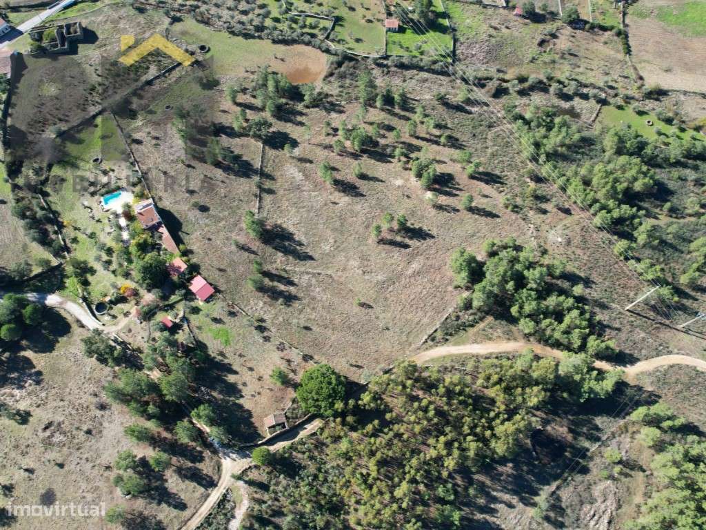 Quintinha nas Benquerenças - Grande imagem: 5/13