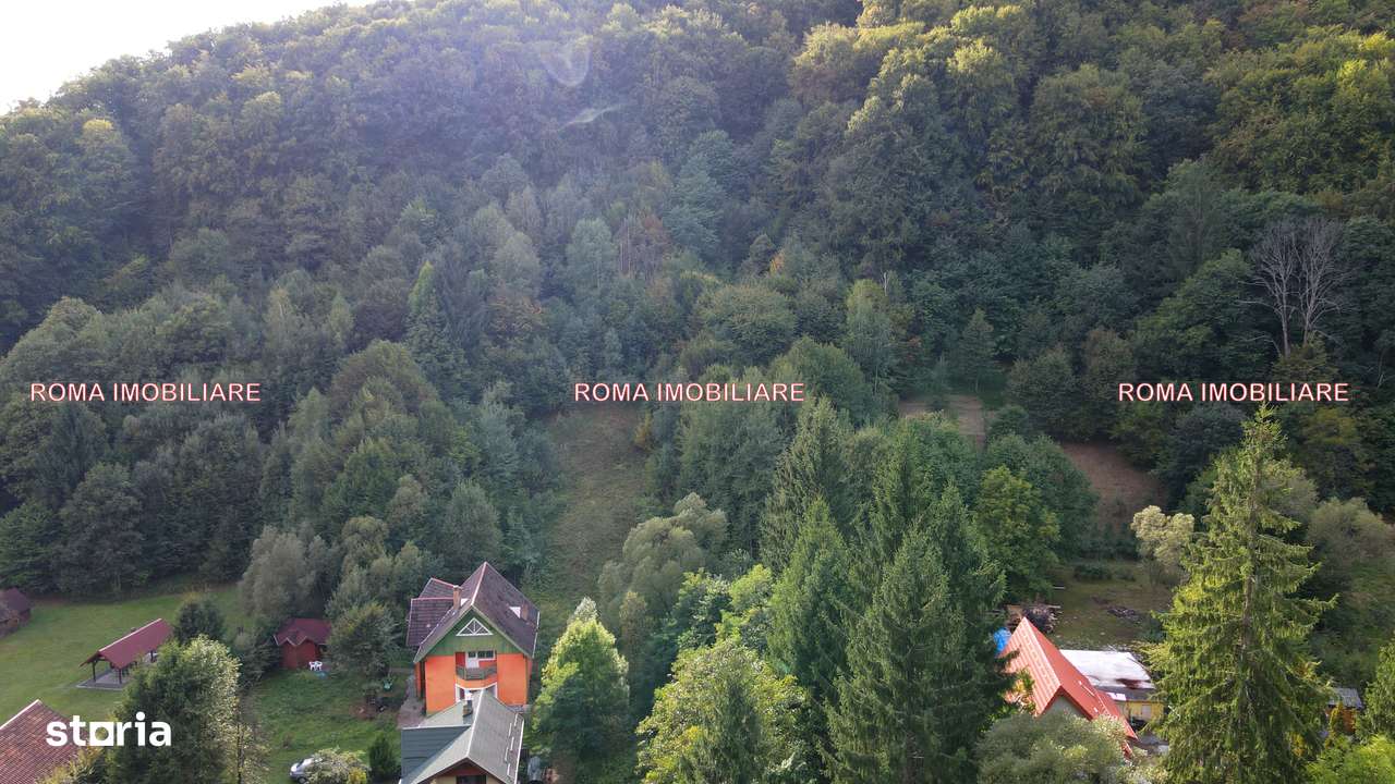 Blidari 77 ari teren de vanzare - Imagine principală: 3/9