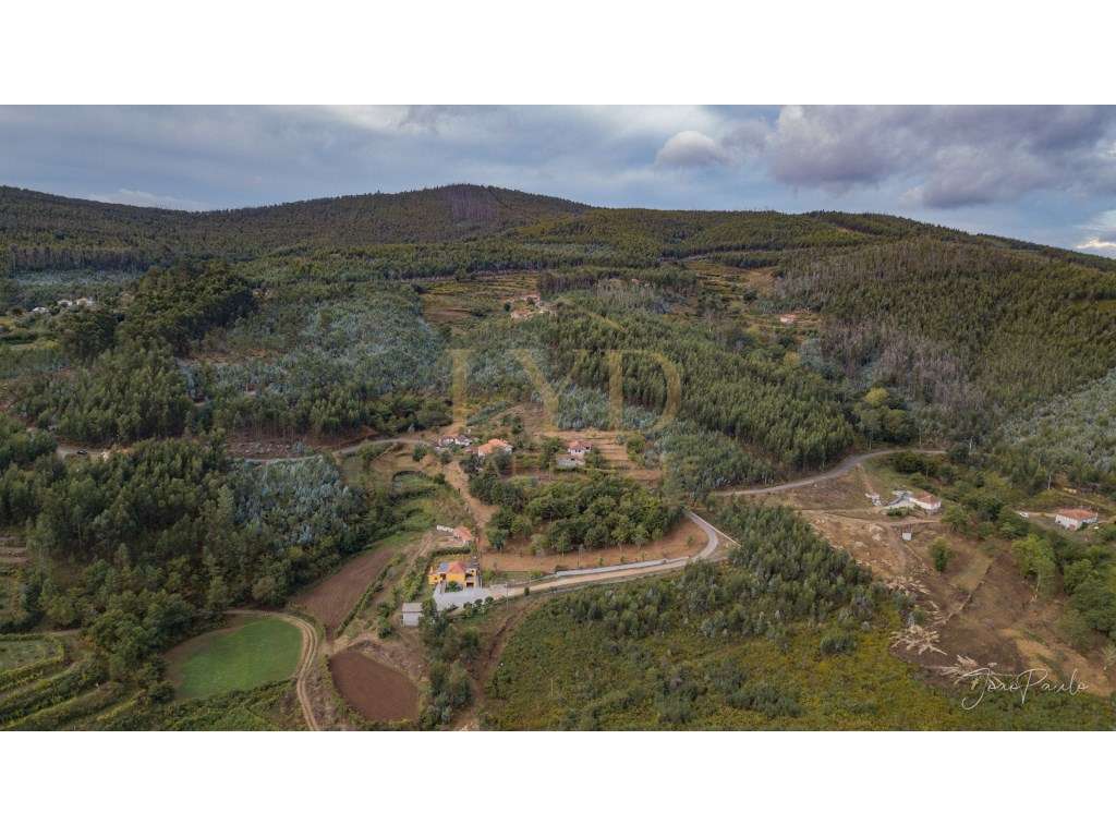 Quinta em Nogueira Paraíso Castelo de Paiva-16