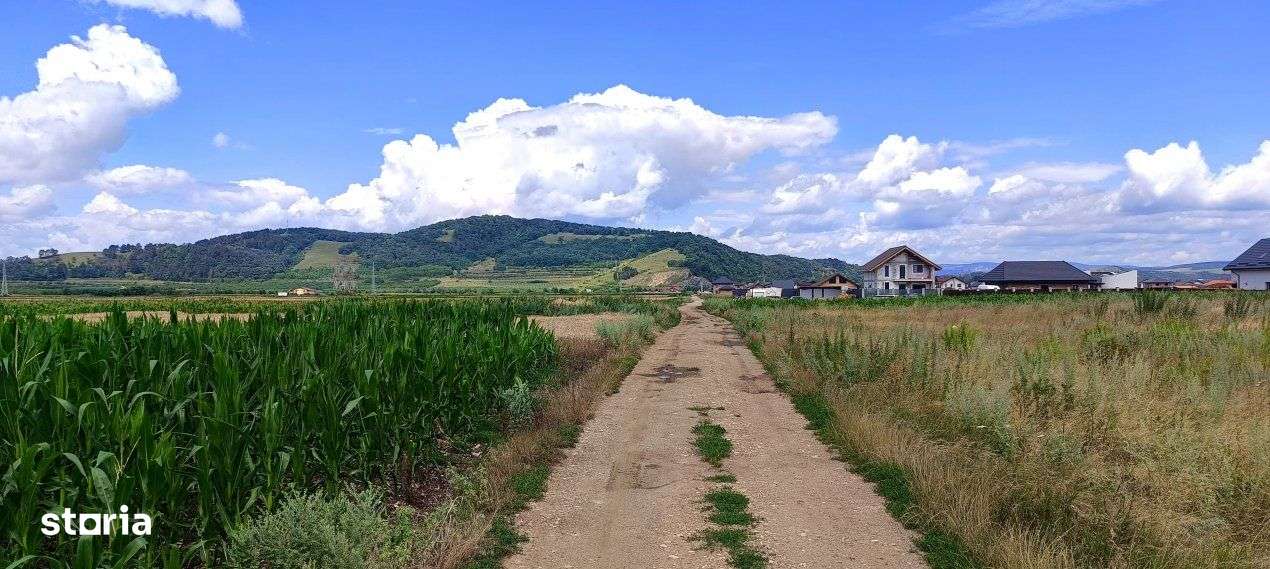 Teren parcelabil , Harman - Zona Aleea 14 - Imagine principală: 2/5