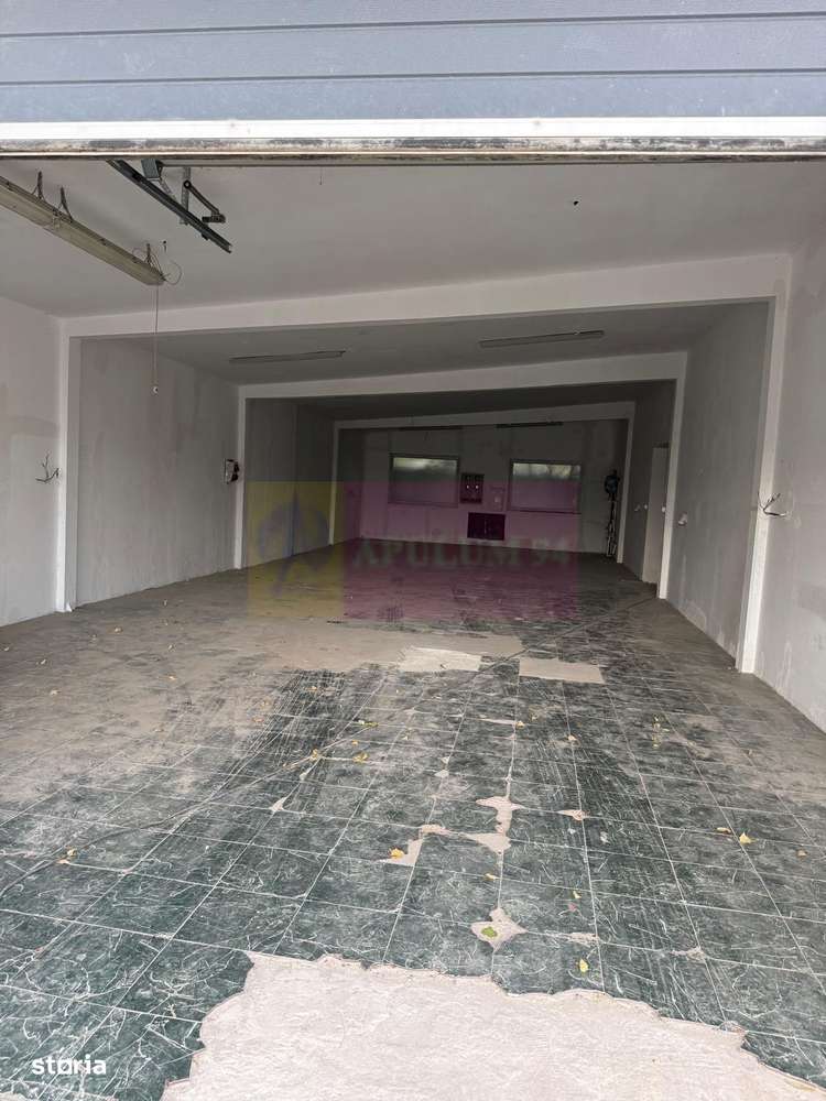 Hala Soseaua Bucuresti- Magurele- planul 2. - Imagine principală: 4/4