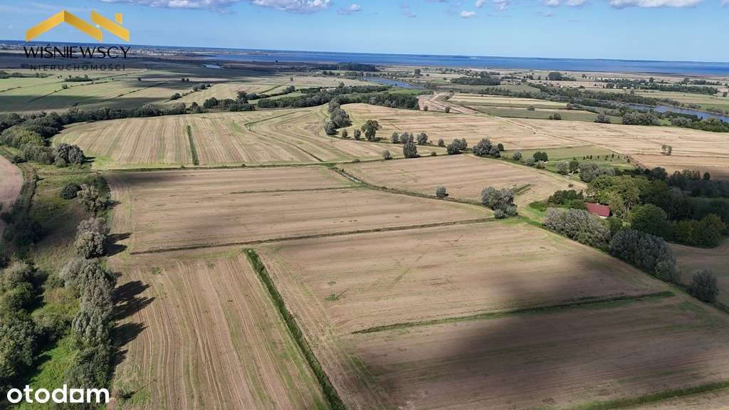 Grunty rolne 43,53 ha – okolice Zalewu Wiślanego - Pełny obrazek: 4/5