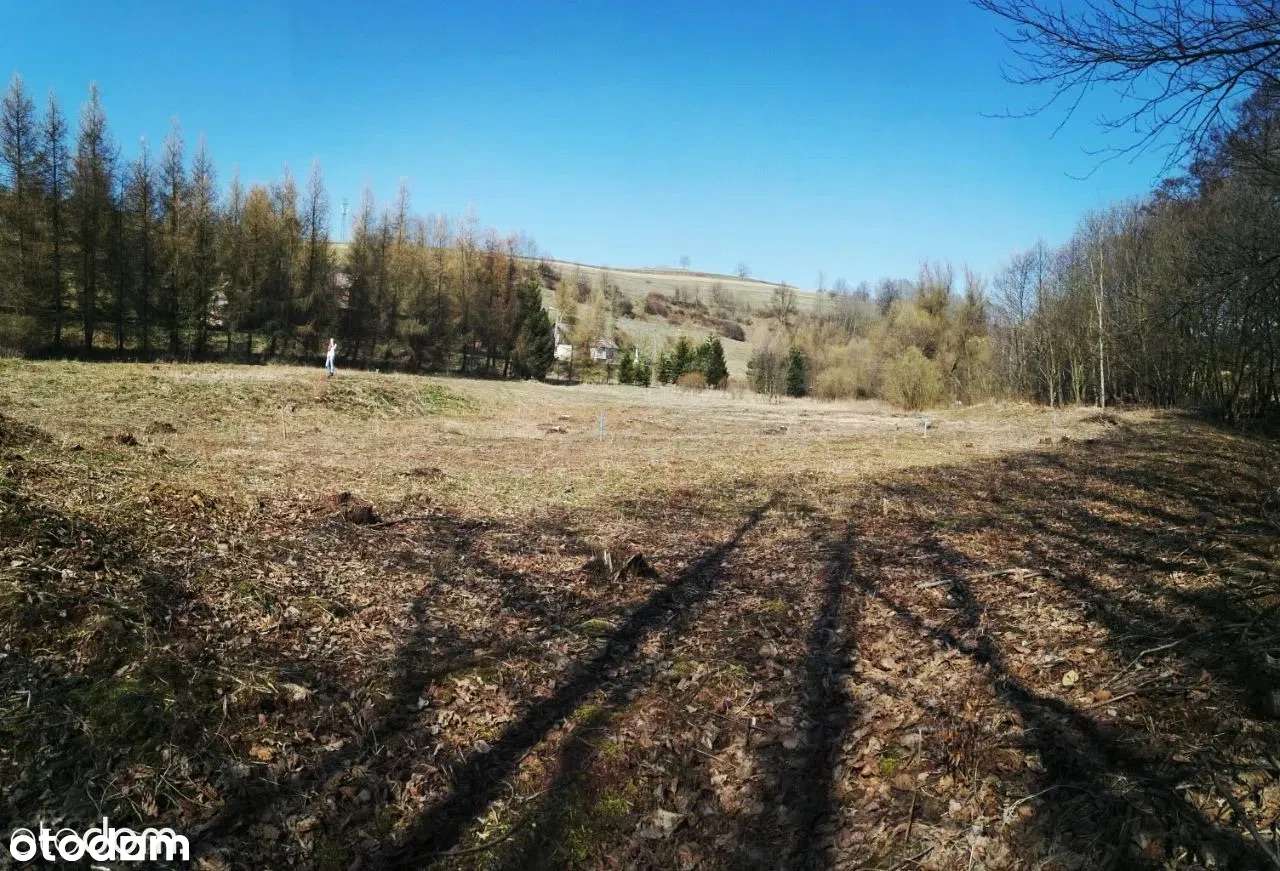 Wyjątkowa działka w Górach Sowich – strumyk, natura i warunki zabudowy - Pełny obrazek: 5/7