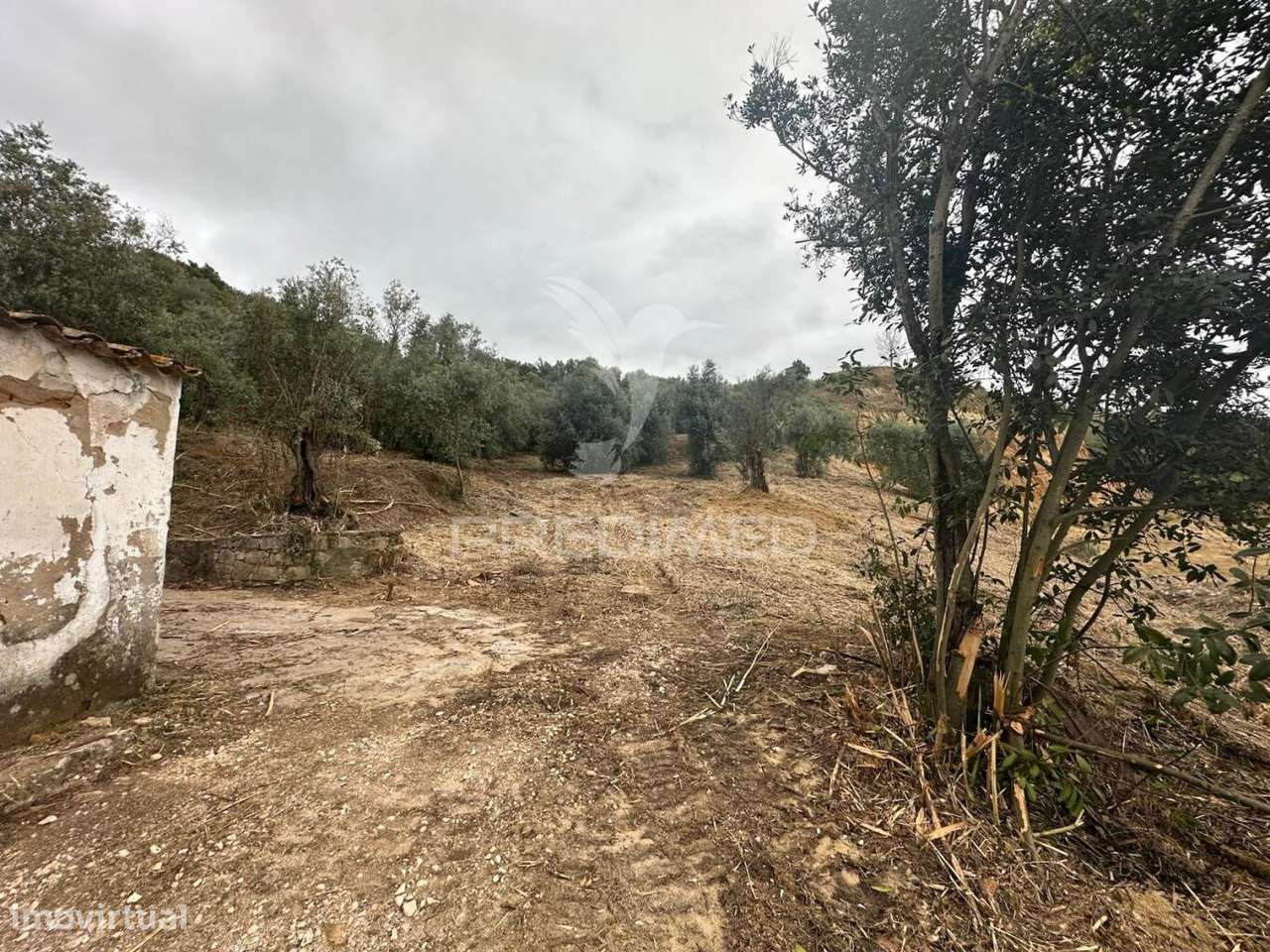 Moradia para Recuperar - Grande imagem: 4/16