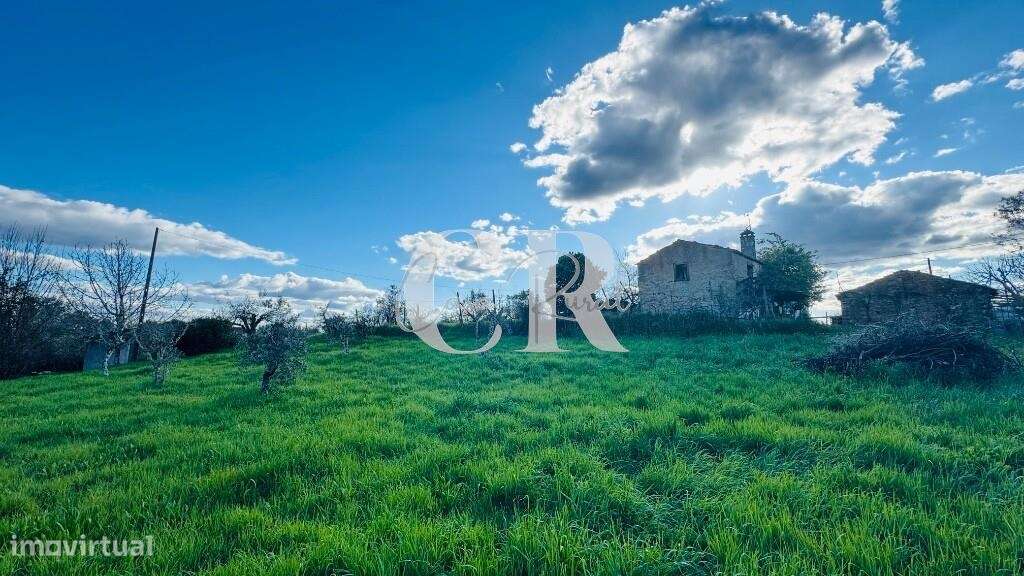 Quinta com casas de pedra para recuperar, poço e furo-39