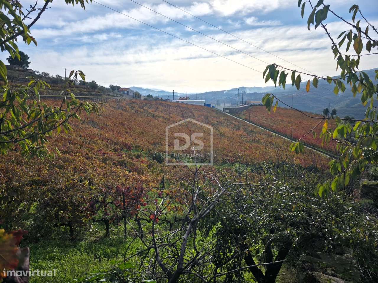 Quinta T4 Venda em Fontelas,Peso da Régua-8