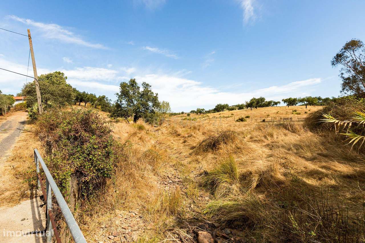 Monte Alentejano com 45 Hectares e Infraestruturas Agrícolas-22