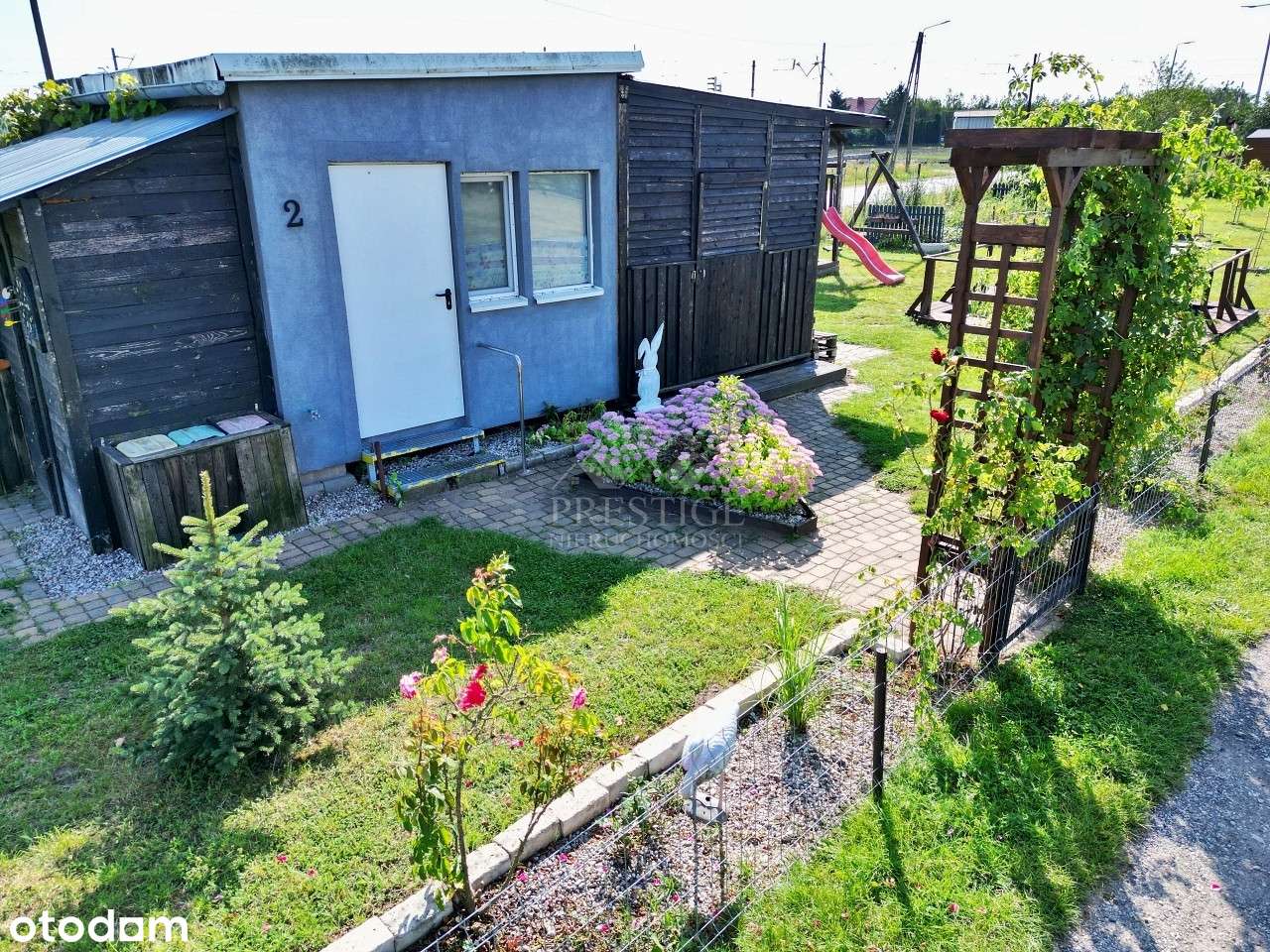 Zagospodarowana działka ROD w Sikorowie - Pełny obrazek: 4/19