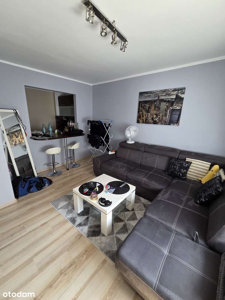 Mieszkanie 2 pokoje + kuchnia I piętro Opole 1 Maja - Pełny obrazek: 4/15