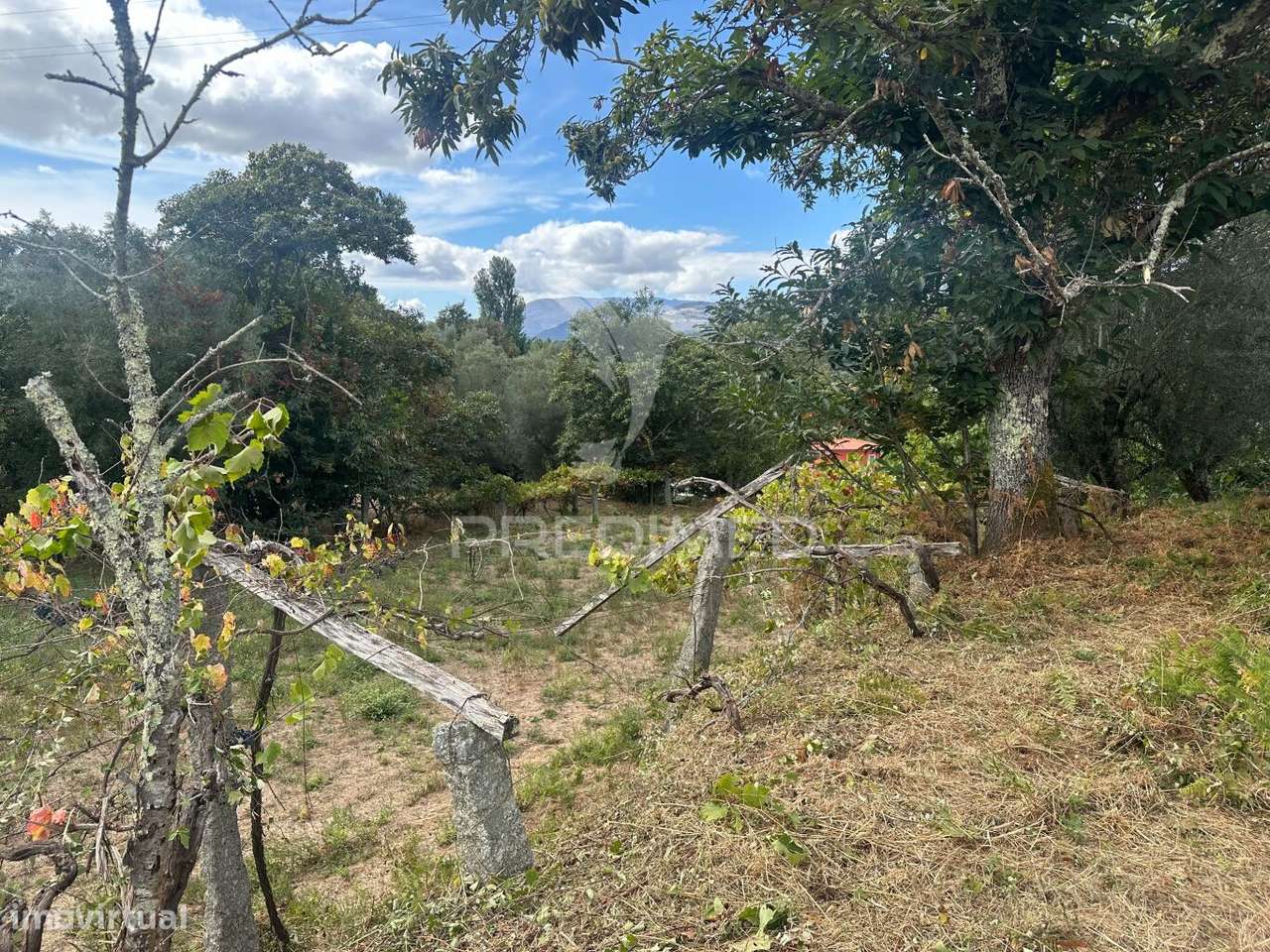 Terreno à venda em Ponte de Lima com cerca de 10.100 m² - Grande imagem: 4/4