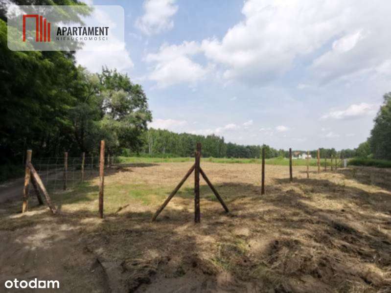 1222 m2 z widokiem na las! - Pełny obrazek: 2/14