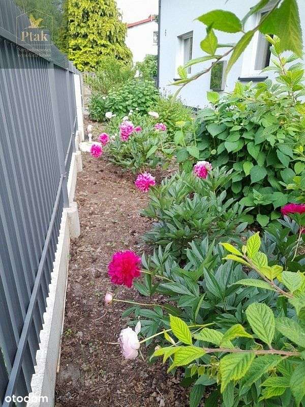 Zieliniec, Antoninek nowy,dom 160m/dz.1404 las. - Pełny obrazek: 4/20