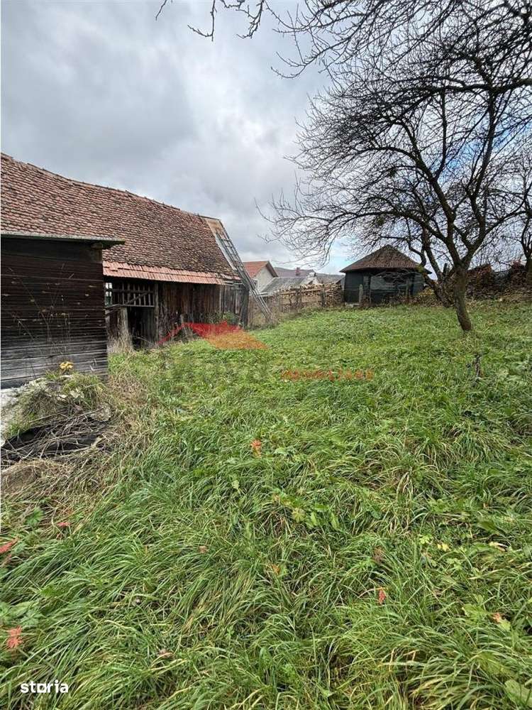 Casa batraneasca cu 33 ari teren, Ghinda-7