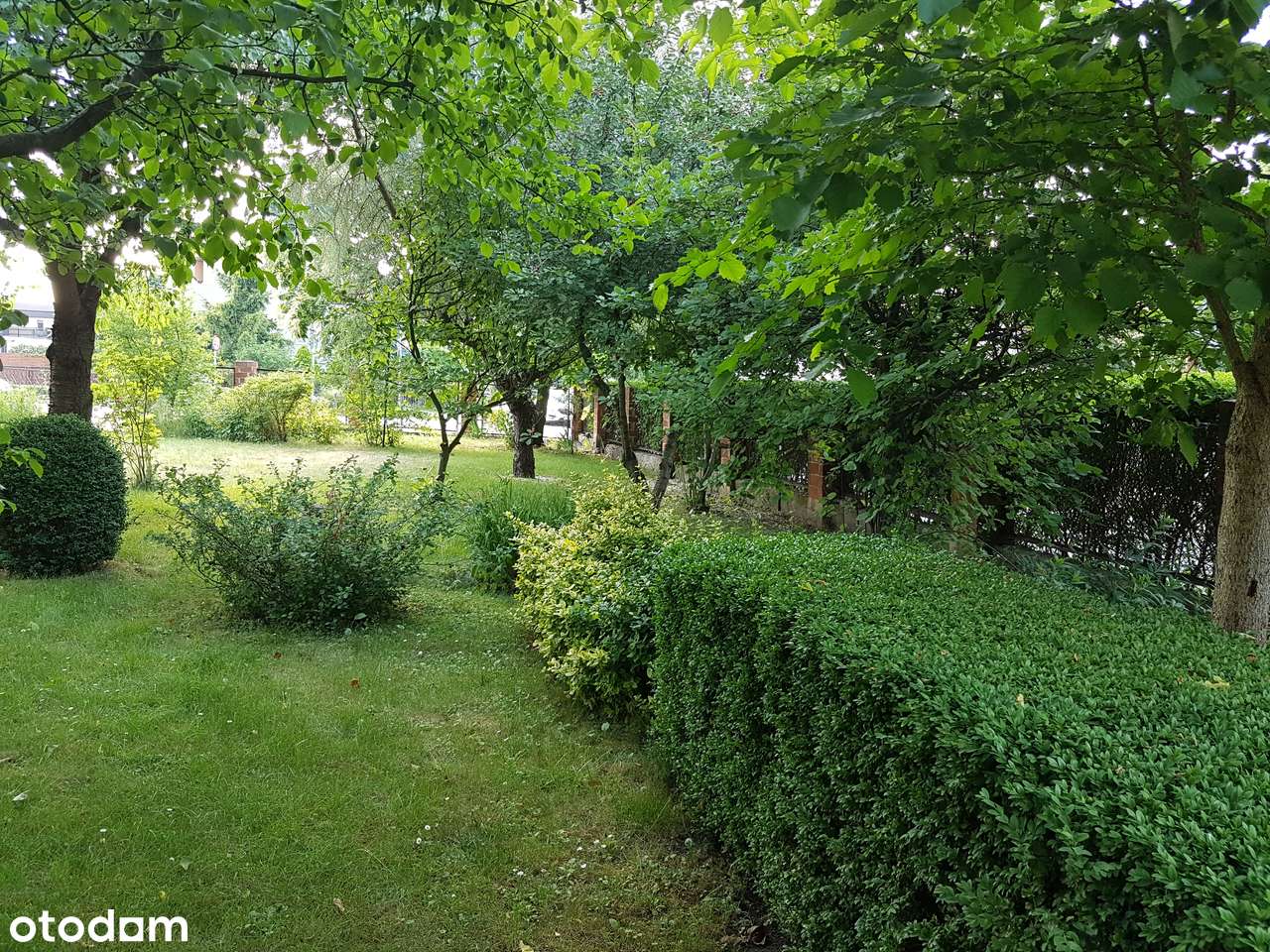 Ołtaszyn dom w zabudowie bliźniaczej, duża działka-6