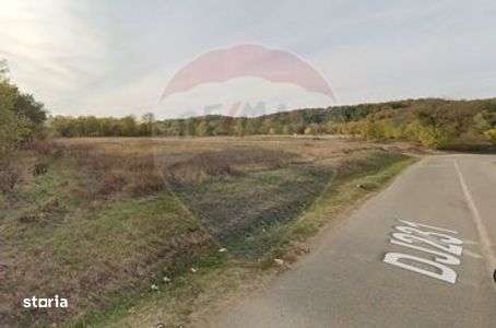 De vanzare Teren Baltesti, Prahova cu deschidere la  DJ231 - Imagine principală: 4/7