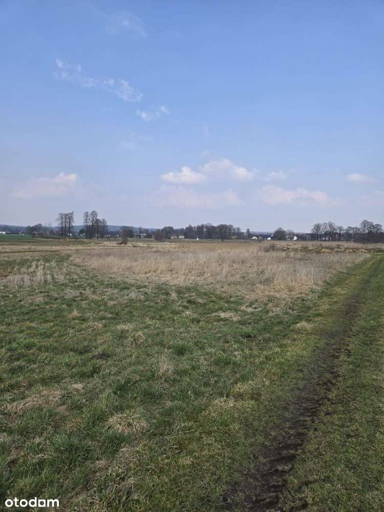 Ładna działka Gardawice, zielone otoczenie.-1