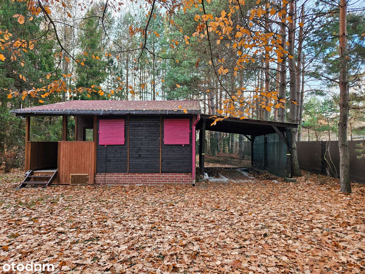 DZIAŁKA BUDOWLANA+LAS |6228 m² | MEDIA W DRODZE | ZALEW PORAJSKI - 3km-8