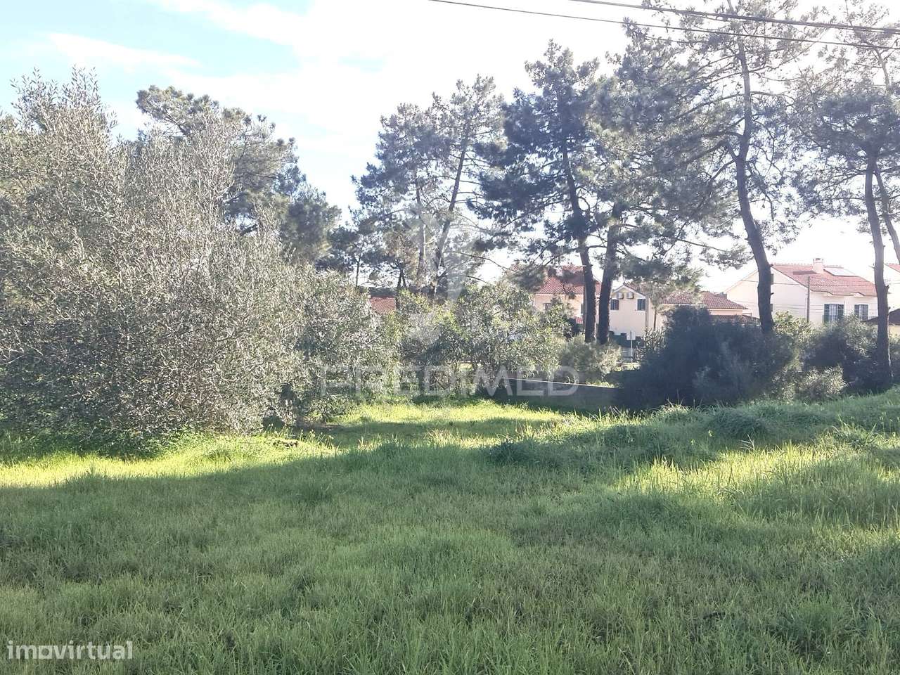 2 Lotes Terrenos Urbanos - Grande imagem: 5/10