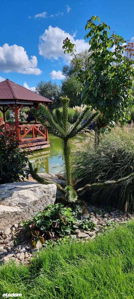 Wilkszyn,gm.Miękinia, ekskluzywna rezydencja z pięknym ogrodem-16