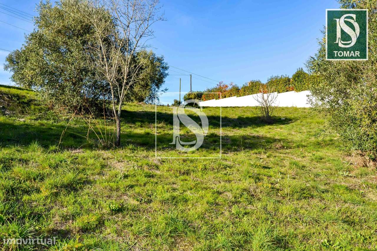 Terreno  Venda em Tomar (São João Baptista) e Santa Maria dos Olivais,-9