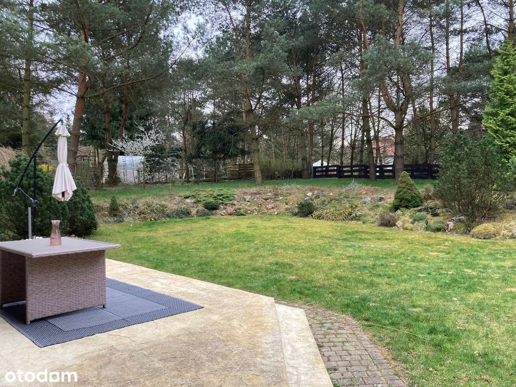 dom pod lasem, dodatkowa sypialnia na parterze-18